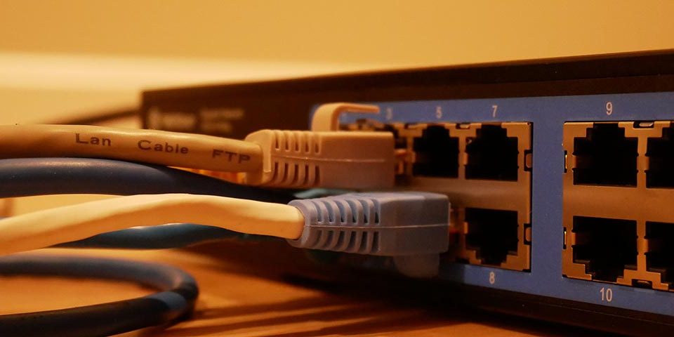 nombre de la marca León historia Tipos de cable Ethernet: cuál es el mejor para tener más velocidad