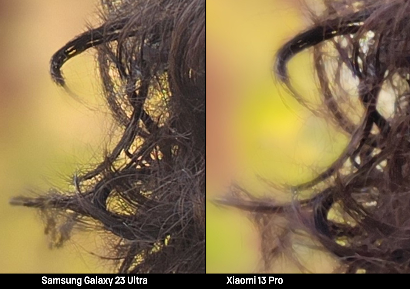 Modo retrato al detalle en el Samsung Galaxy S23 Ultra y Xiaomi 13 Pro