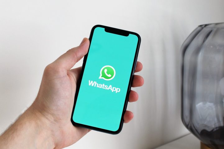 Aprende cómo funciona WhatsApp Business y capta clientes este verano