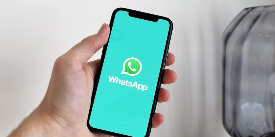 Aprende cómo funciona WhatsApp Business y capta clientes este verano