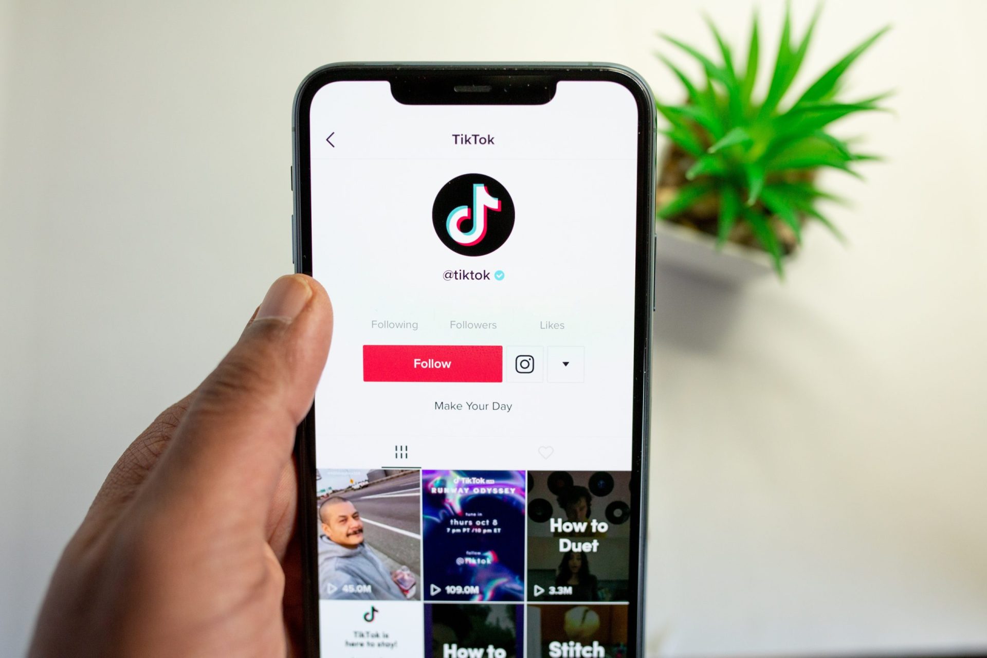 Los videos cortos en TikTok arrasan